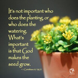 11 Garden Verses Ideas Book Of Isaiah Bible Scriptures Verse Quotes