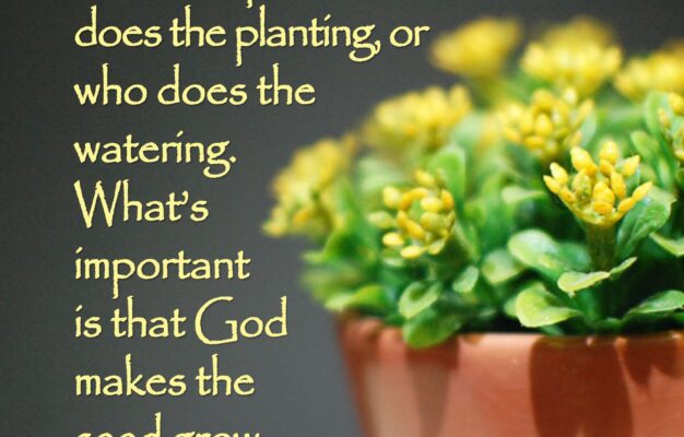 11 Garden Verses Ideas Book Of Isaiah Bible Scriptures Verse Quotes