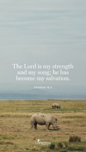 11 Uplifting Bible Verses That Will Refresh Your Spirit