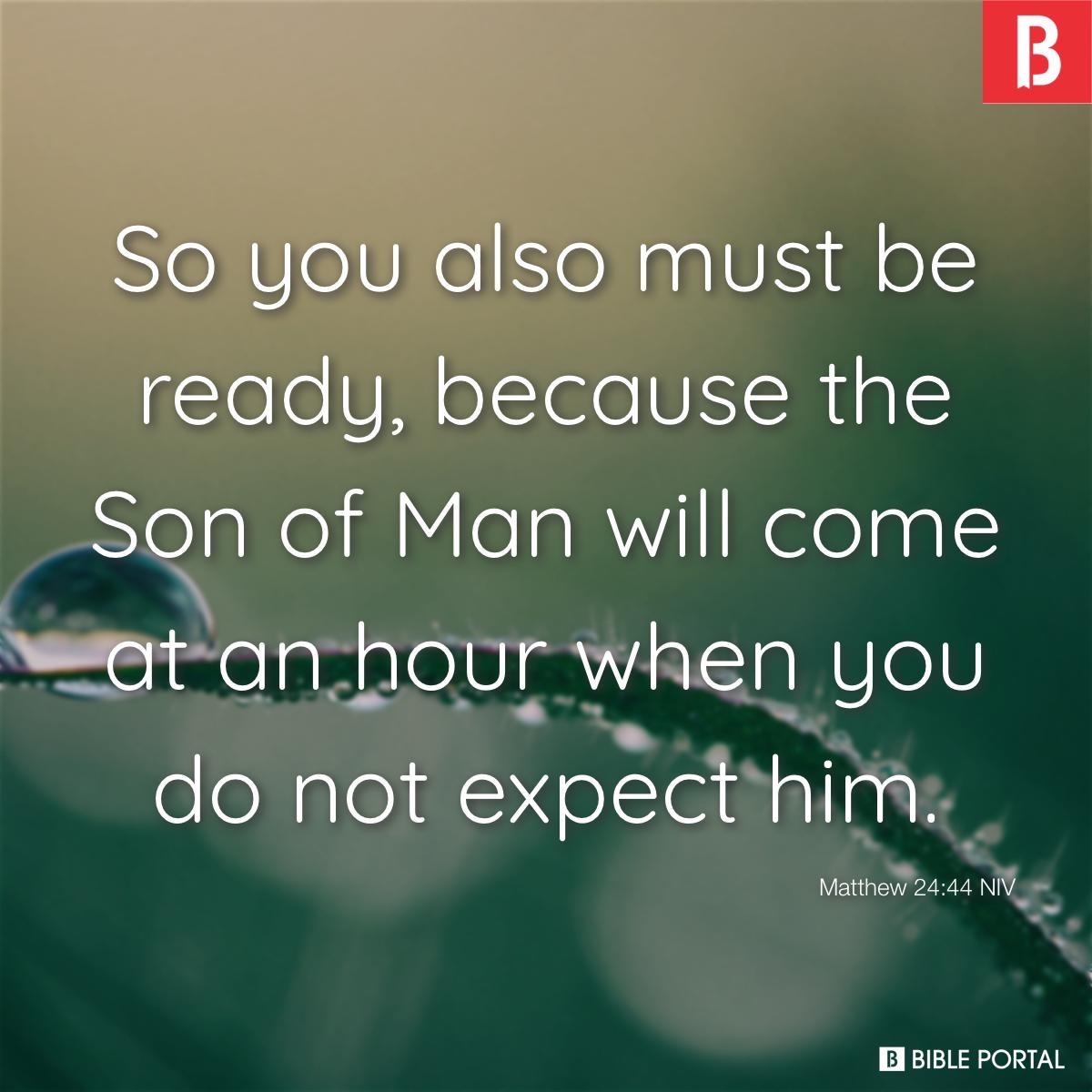 114 Bible Verses About Preparation