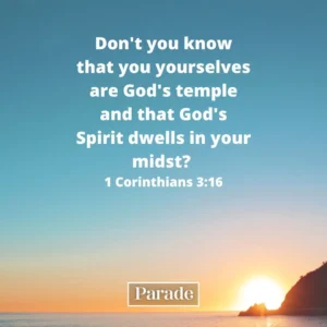116 Bible Quotes And Inspirational Scripture Parade