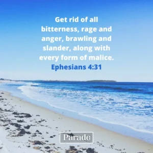 116 Bible Quotes And Inspirational Scripture Parade