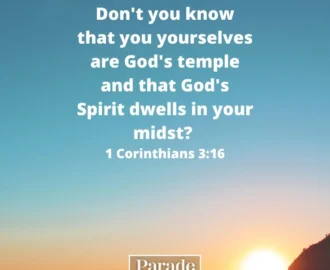 116 Bible Quotes And Inspirational Scripture Parade