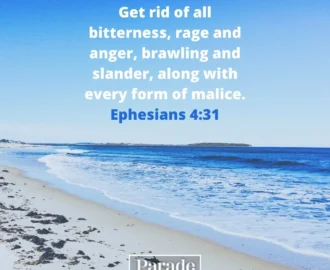 116 Bible Quotes And Inspirational Scripture Parade