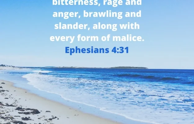 116 Bible Quotes And Inspirational Scripture Parade
