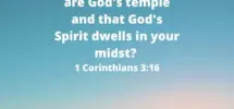 116 Bible Quotes And Inspirational Scripture Parade