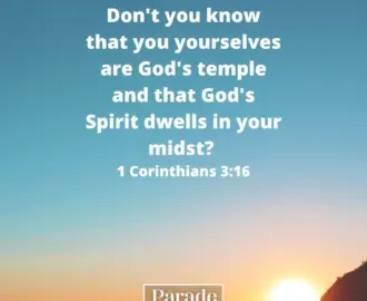 116 Bible Quotes And Inspirational Scripture Parade