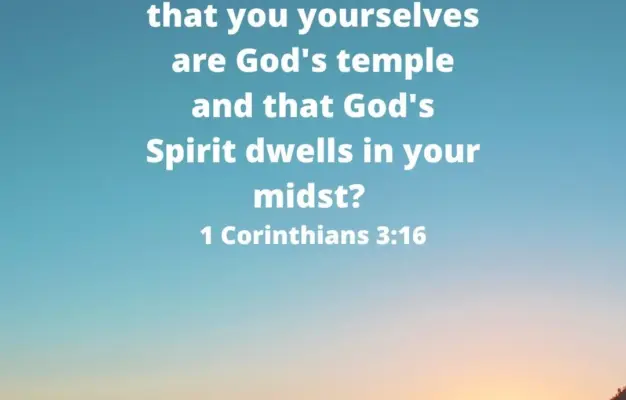 116 Bible Quotes And Inspirational Scripture Parade