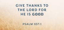 12 Aesthetic Bible Verse Wallpapers For Daily Encouragement LCBC Church LCBC Church