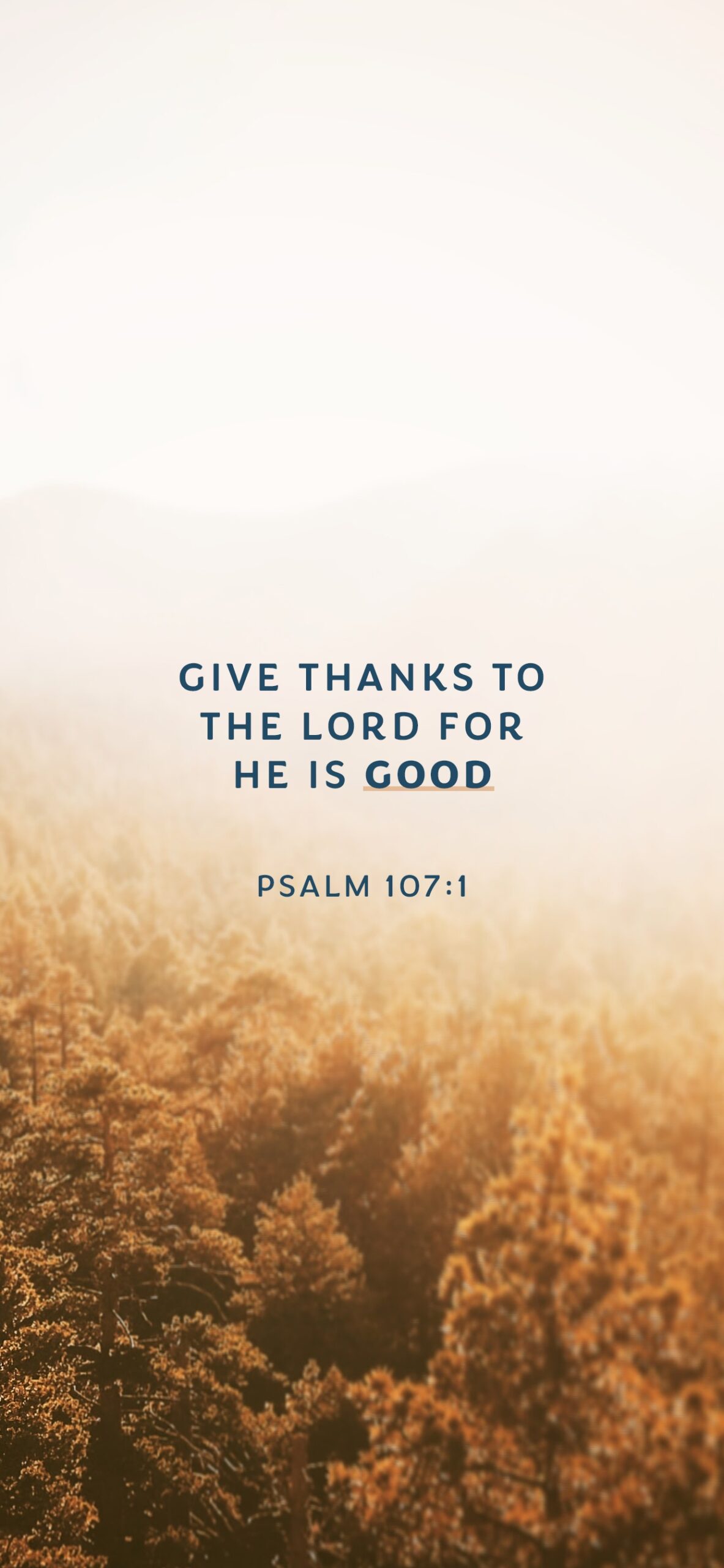 12 Aesthetic Bible Verse Wallpapers For Daily Encouragement LCBC Church LCBC Church