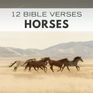 12 Bible Verses About Horses