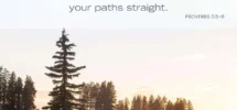 12 Bible Verses About Not Knowing All The Answers
