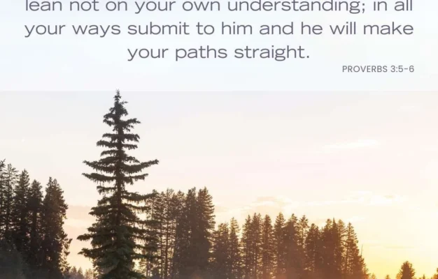 12 Bible Verses About Not Knowing All The Answers
