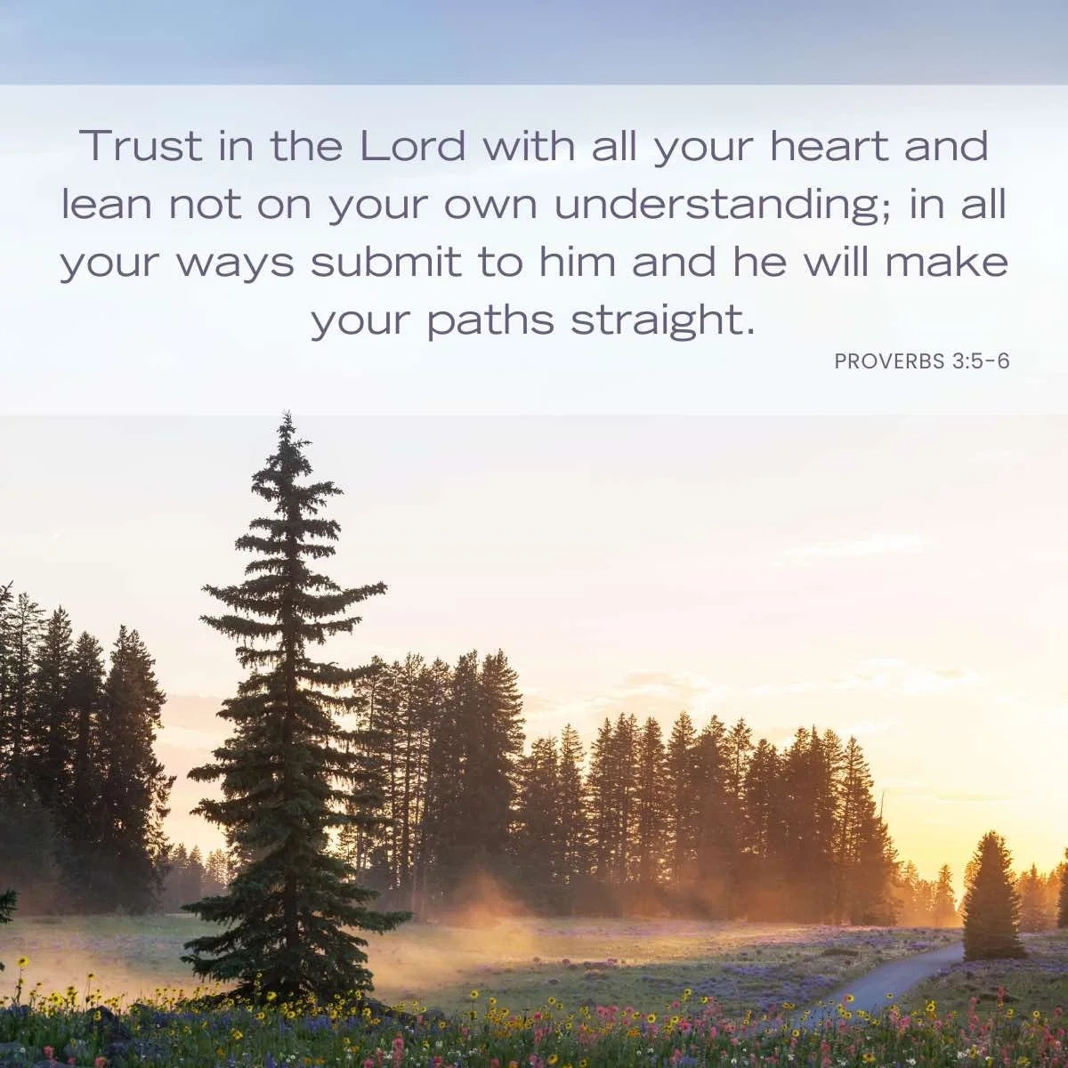 12 Bible Verses About Not Knowing All The Answers