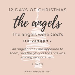 12 Days Of Christmas The Angels THIRSTY DEER