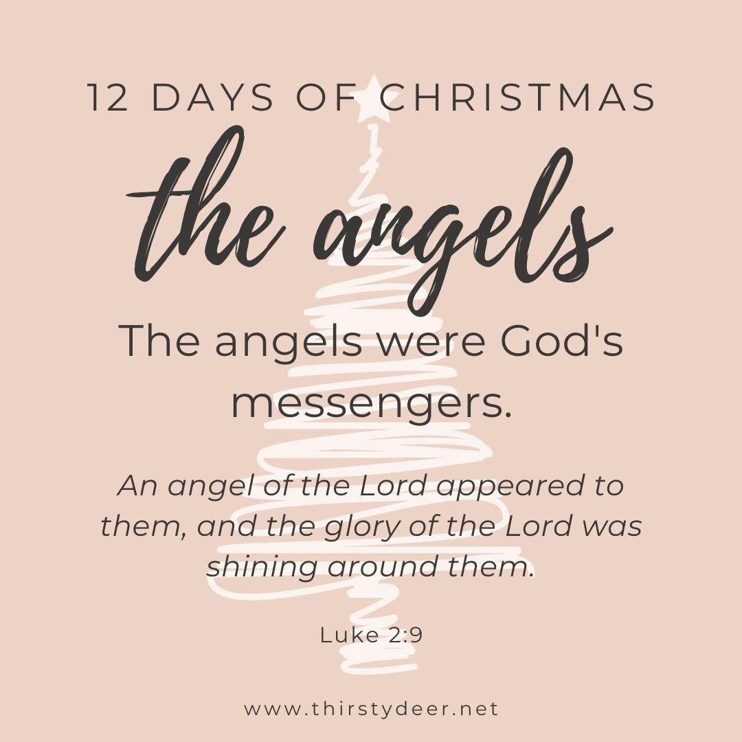 12 Days Of Christmas The Angels THIRSTY DEER