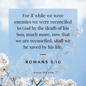 12 Essential Bible Verses About Reconciliation Bible Lyfe