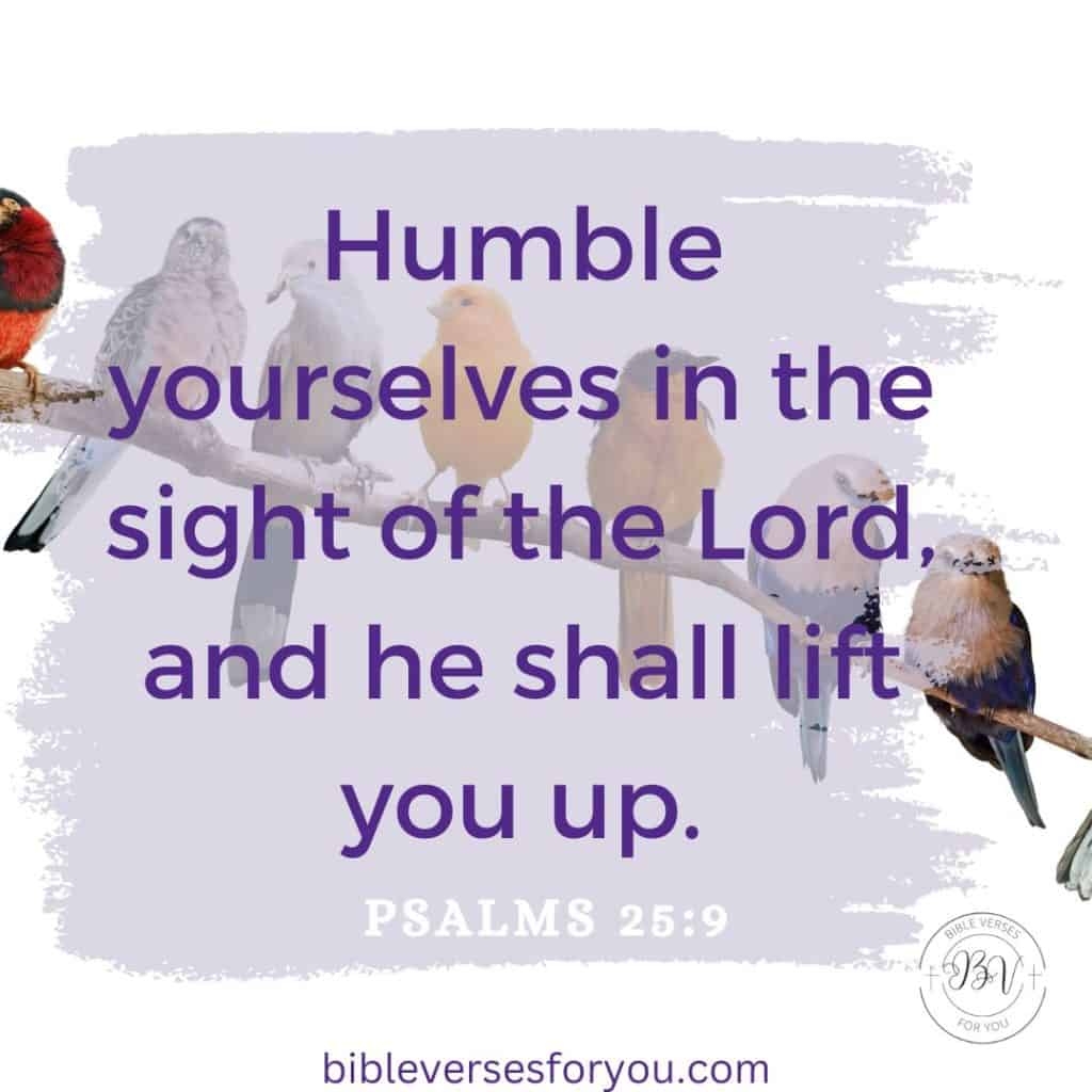 12 Humbling Bible Verses About Humility Bible Verses For You
