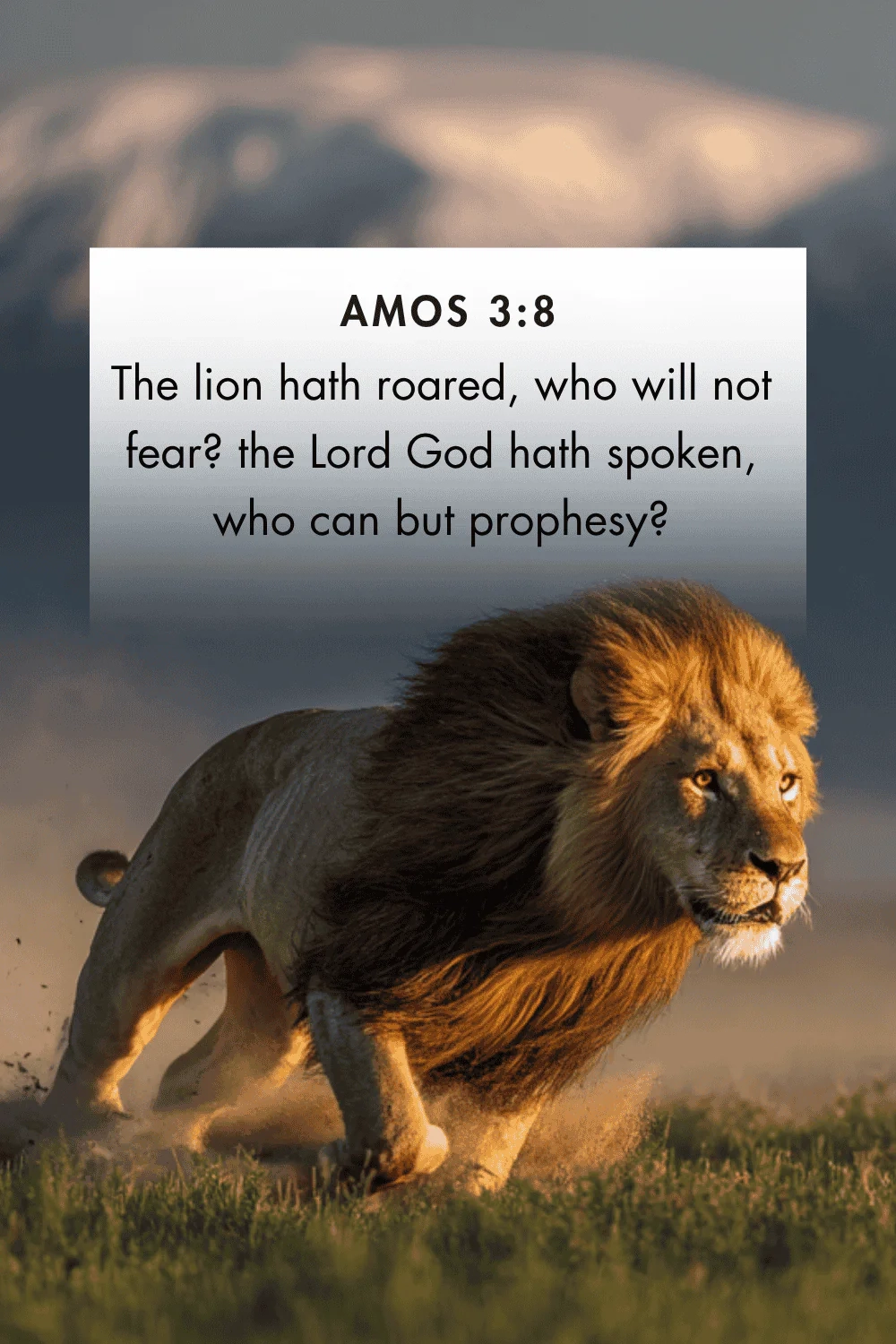 Bible Quotes About Lions