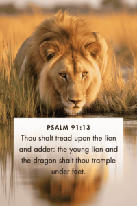 12 Powerful Bible Verses About The Lion Of Judah Christ Follower Life