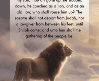 12 Powerful Bible Verses About The Lion Of Judah Christ Follower Life