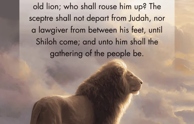 12 Powerful Bible Verses About The Lion Of Judah Christ Follower Life