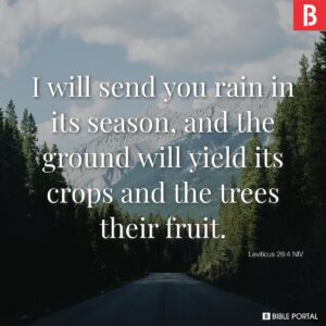 121 Bible Verses About Rain