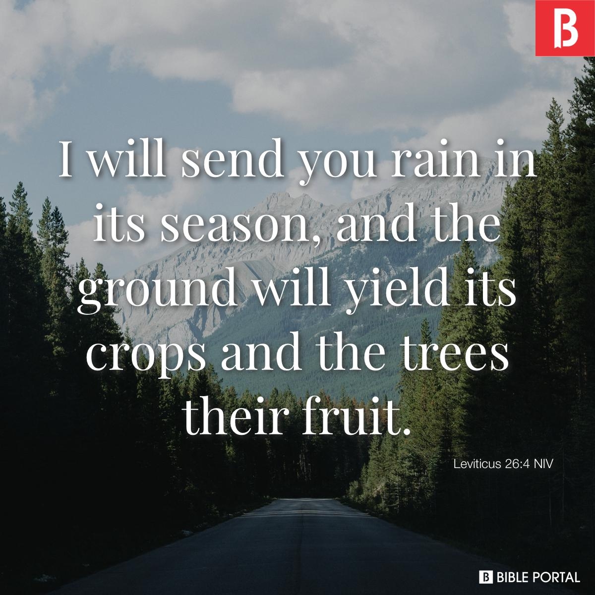 121 Bible Verses About Rain