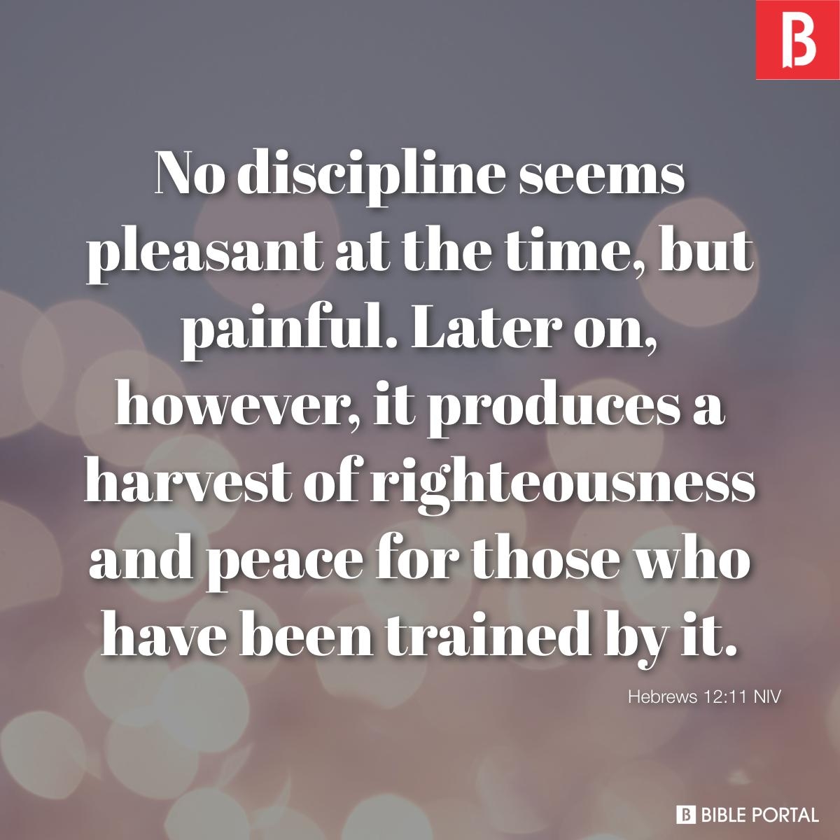122 Bible Verses About Self Discipline