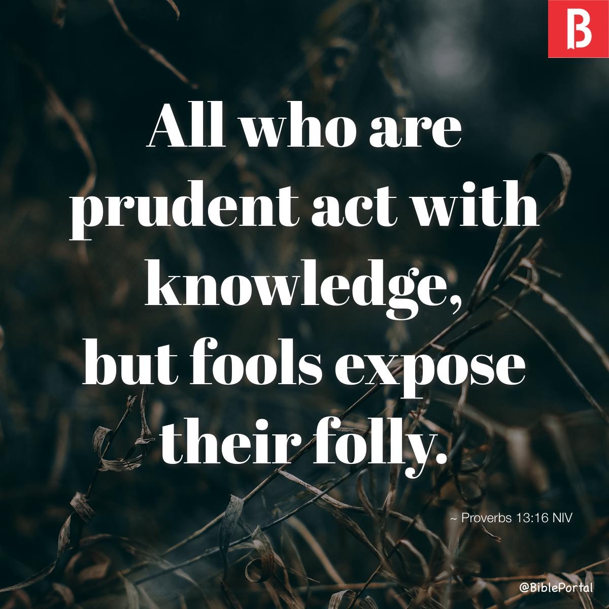 126 Bible Verses About Prudence