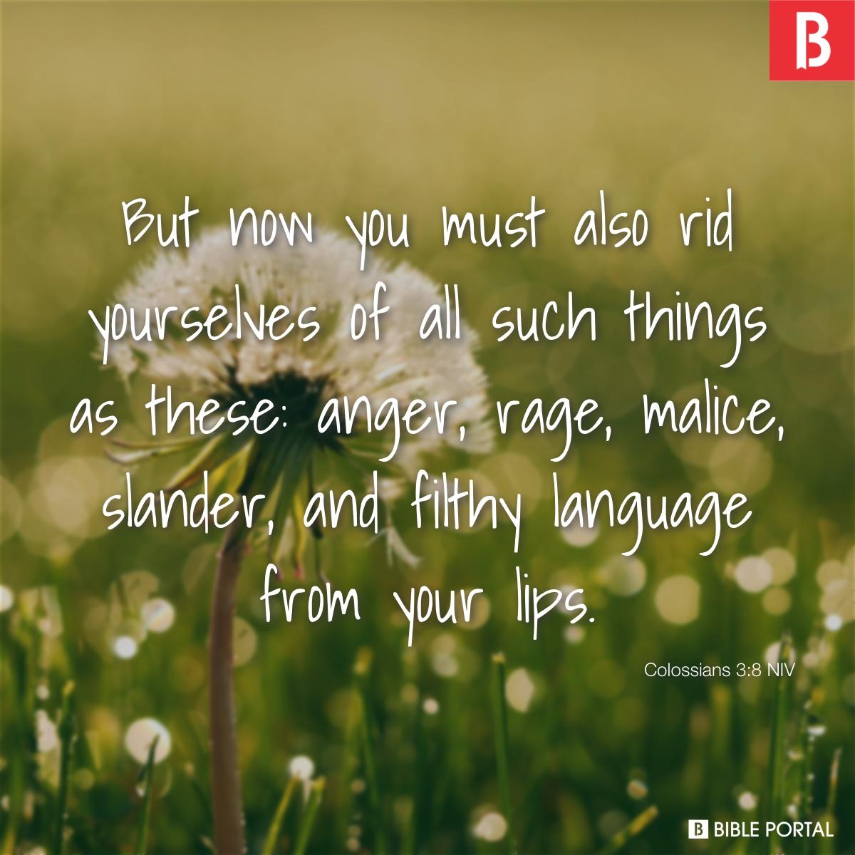 128 Bible Verses About Swearing And Cursing
