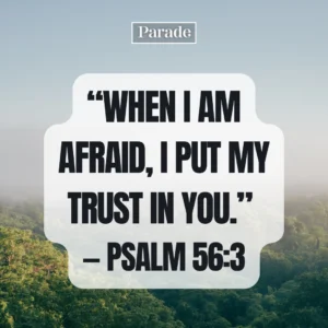 130 Bible Verses About Life Parade