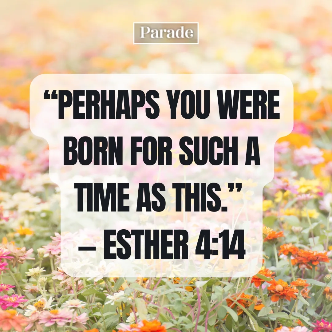 130 Bible Verses About Life Parade