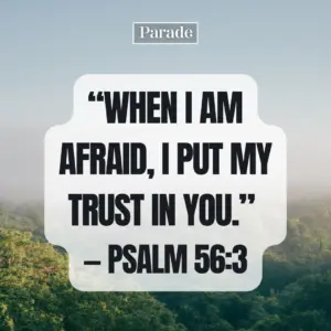 130 Bible Verses About Life Parade