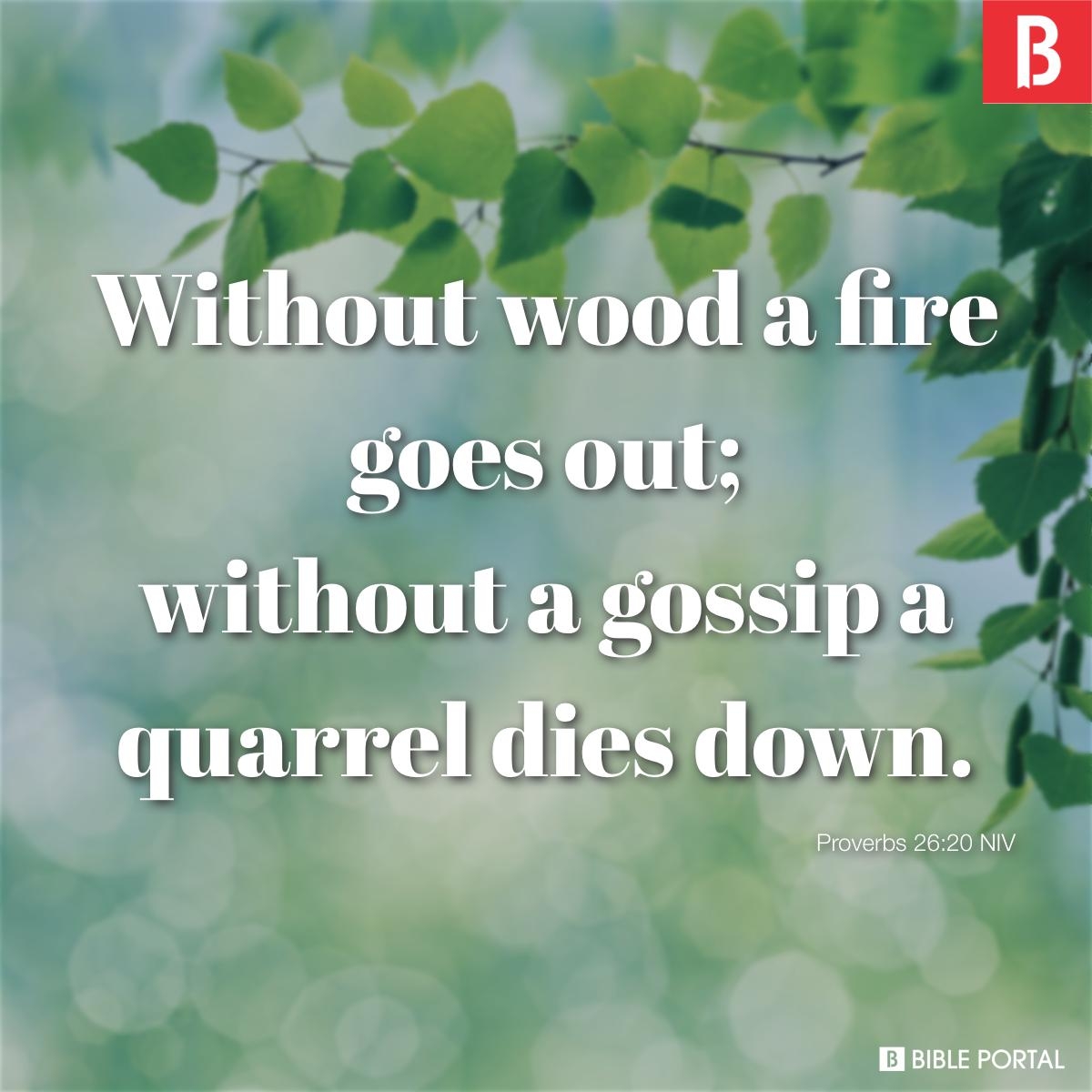 Bible Quotes About Rumors