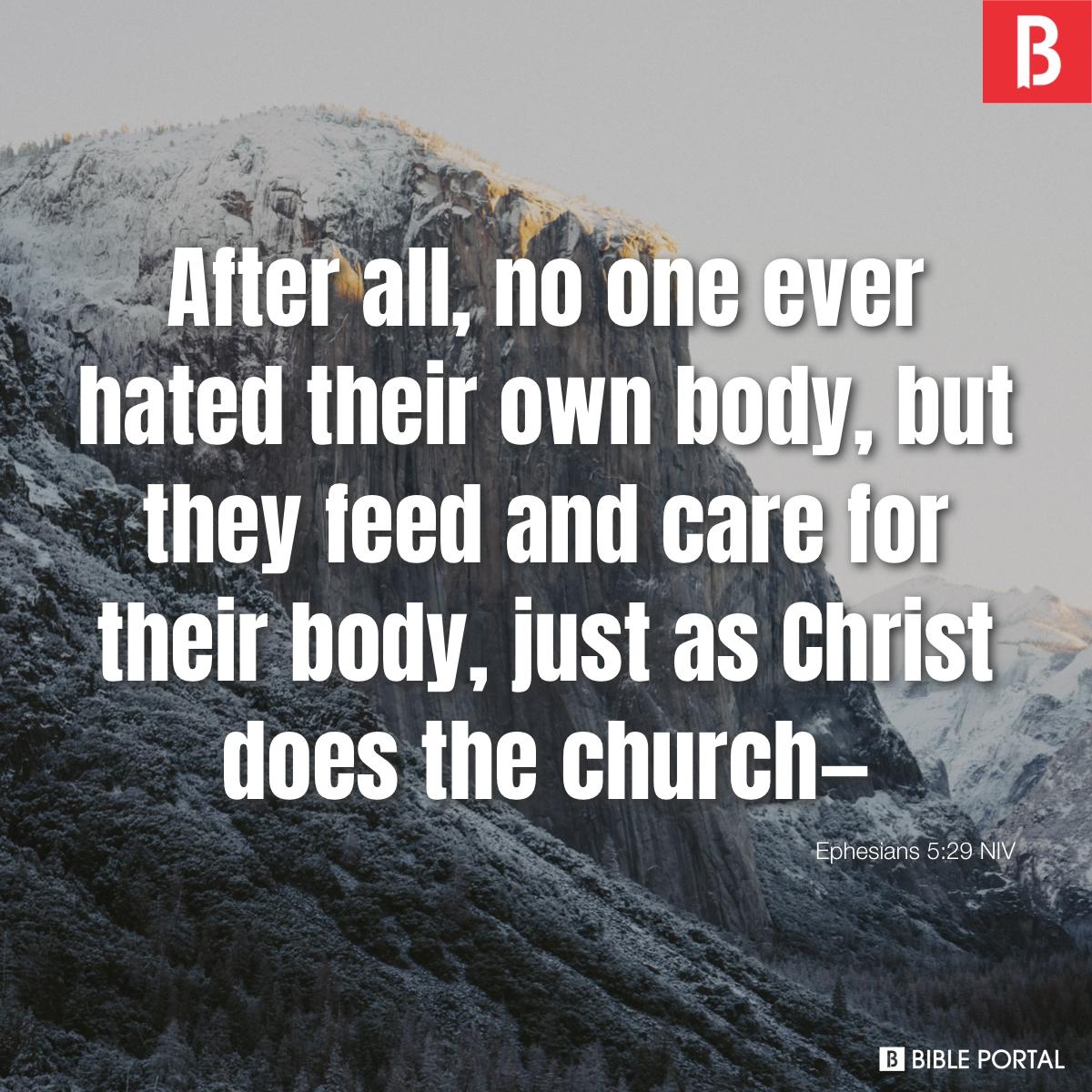 Bible Quotes About Body Image