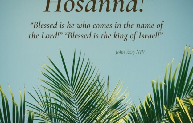 14 Palm Sunday Scriptures To Prepare Your Heart For The Coming King