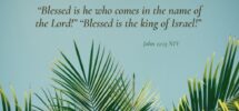 14 Palm Sunday Scriptures To Prepare Your Heart For The Coming King