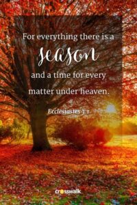 15 Beautiful Fall Bible Verses For The Autumn Season AM 1250 The ANSWER Pittsburgh PA