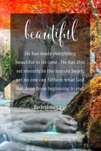 15 Beautiful Fall Bible Verses For The Autumn Season AM 1250 The ANSWER Pittsburgh PA