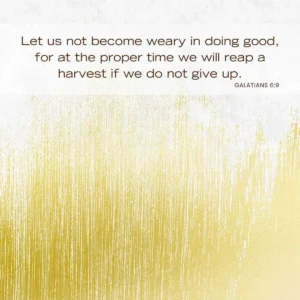 15 Bible Verses About Determination