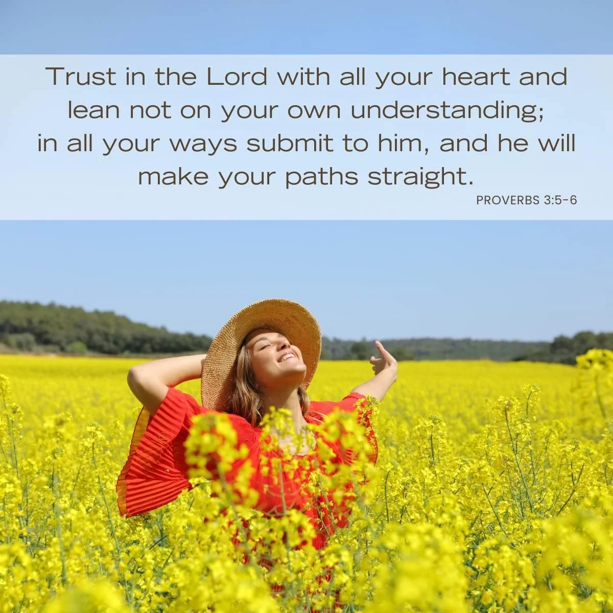 Bible Quotes About Purpose