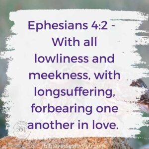 15 Bible Verses About Longsuffering Bible Verses For You