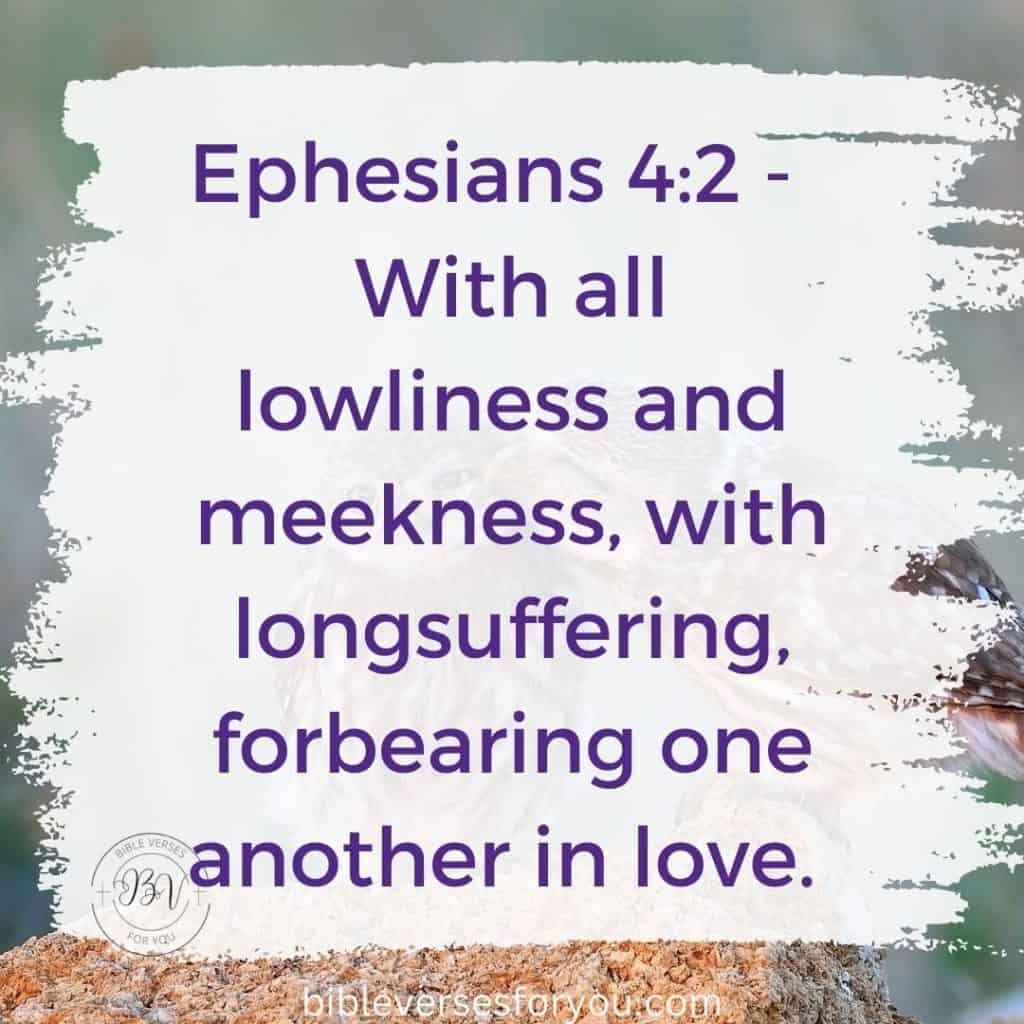 15 Bible Verses About Longsuffering Bible Verses For You