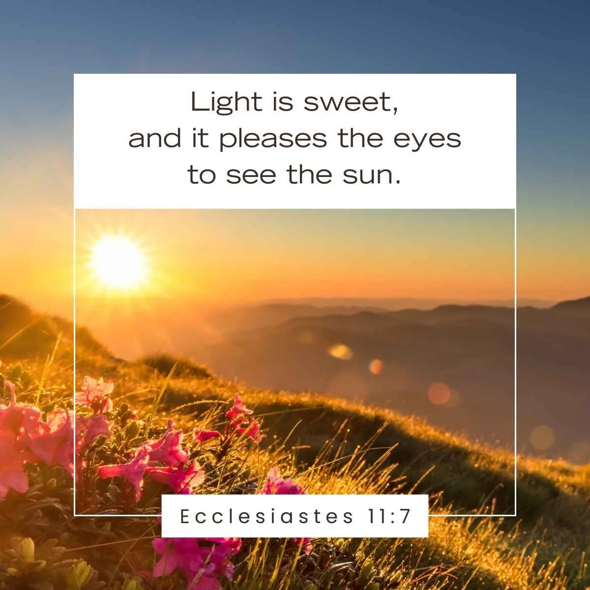 15 Bible Verses About The Sun