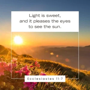 15 Bible Verses About The Sun