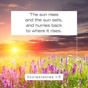15 Bible Verses About The Sun