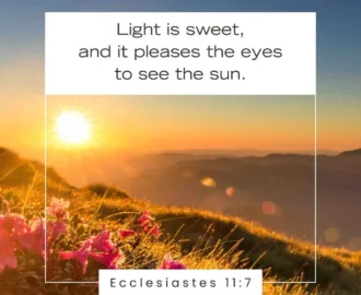 15 Bible Verses About The Sun
