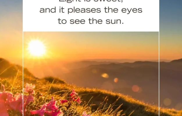 15 Bible Verses About The Sun