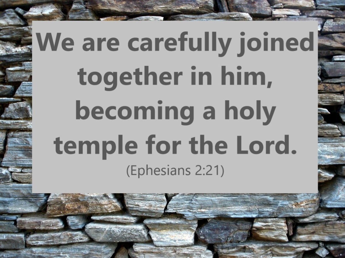Paul Quotes Bible